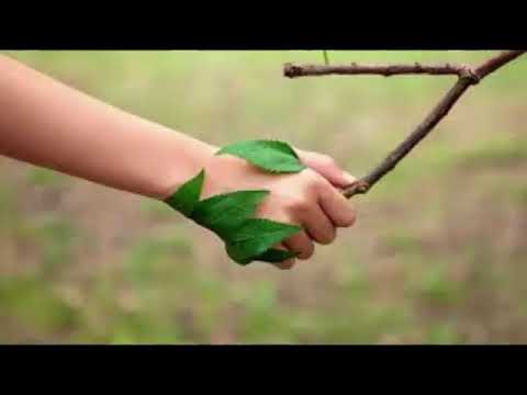 Itxaropenaren zikloa: krisitik konponbidera