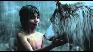 Extrait : "Les loups, ma famille"