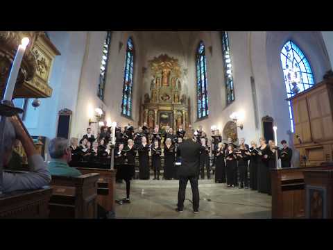 Abendlied (Josef Rheinberger) S:t Jacobs Kammarkör and Duke Vespers Ensemble