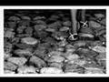 Low - Step