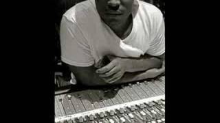 Pleaure P ft Teairra Mari - Did You Wrong Remix