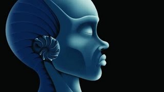 Mindfly - Luscious Apparatus