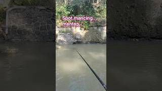 Download lagu spot mancing yang mantap #fishing #mancing #shortsviral #soundviral #short mp3 Download lagu spot mancing yang mantap #fishing #mancing #shortsviral #soundviral #short mp3