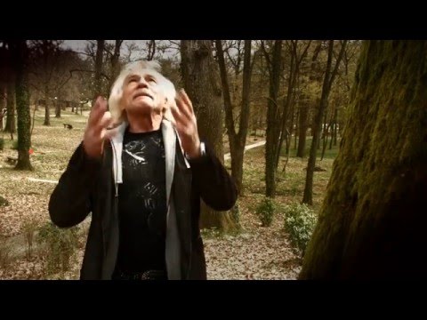 DŽO MARAČIĆ MAKI - NEDOSTAJEŠ MI TI (OFFICIAL VIDEO)