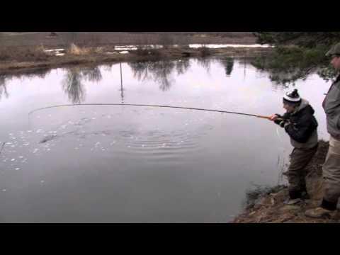 Taimenen perhokalastusta Merikarvianjoella - Perhokalastus - Merikarvianjoki - Eumer