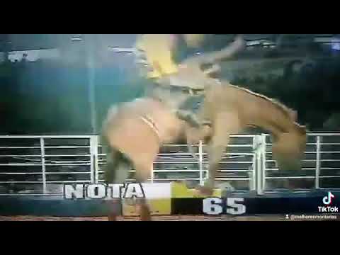 JÚLIO CÉSAR CAMARGO X GASOLINA - RODEIO DE JALES 2006