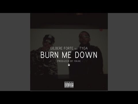 Burn Me Down (feat. Tyga & Raak)