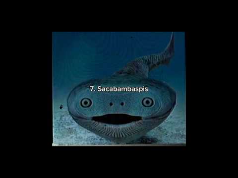 10 most bizarre creatures to ever live on earth #prehistoric #extinct #bizarreanimals