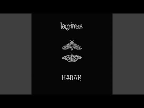 Infinitas noches de vigilia