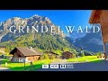 Greenland Switzerland Most Beautiful Village New Vlog Switzerland MARKVLOG