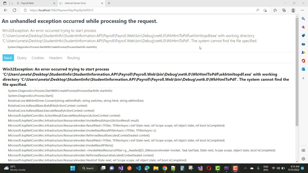 Fix: An unhandled exception occurred while processing the request | Rotativa | ASP.NET CORE