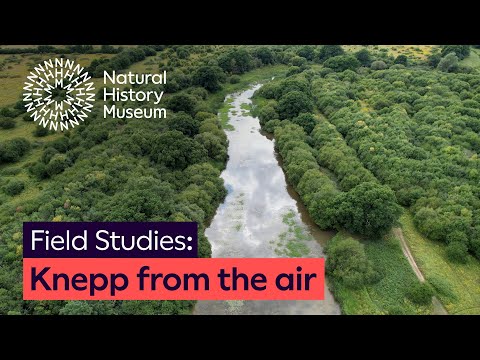 A view from the air: Knepp Rewilding Project | Field Studies