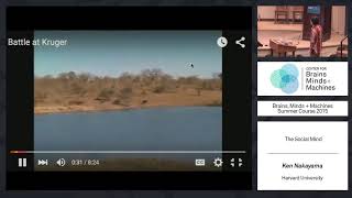 Lecture 6.2: Ken Nakayama - The Social Mind