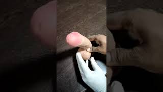 Dildo with Suction cup now in India
