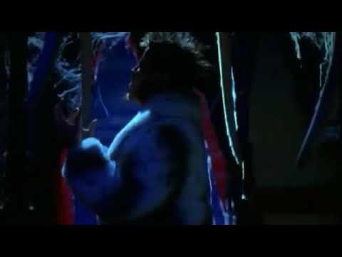 Everybody Levitating