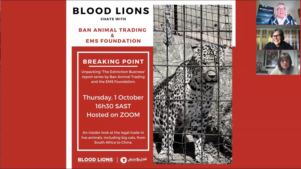 Breaking Point: Unpacking "The Extinction Business" report series. Blood Lions Webinar. Episode 5