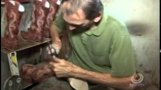 Miniatura do vídeo