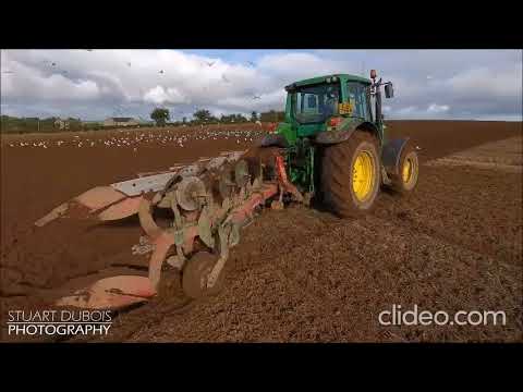 Amedeo X Oana Marinescu - Ar(d) Tot Parodie