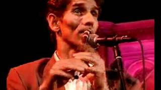 TARAF DE HAIDOUKS Live at Union Chapel (Briu)