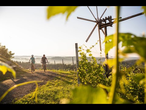 Imagevideo Südsteiermark - Schilcherland - Lipizzanerheimat