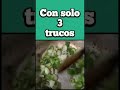 El Mejor QUIMBOMBÓ CUBANO... #shorts