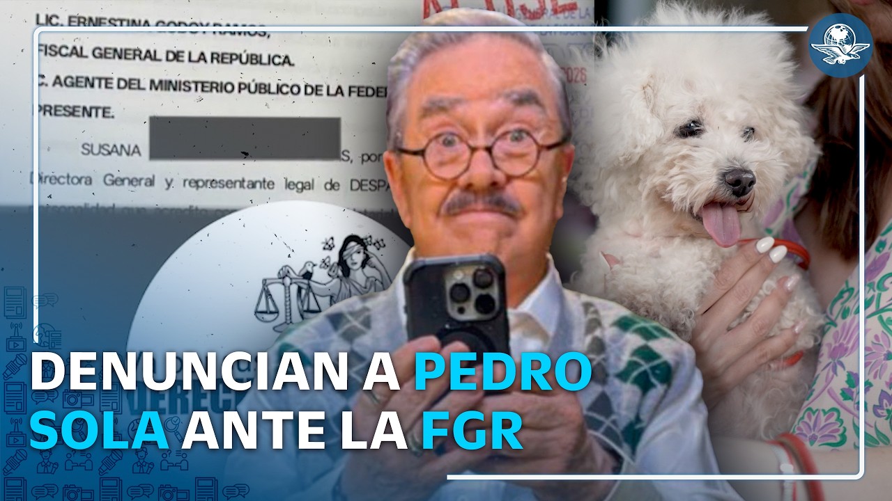 Pedro Sola es denunciado ante la FGR por comentarios sobre perros en lugares públicos