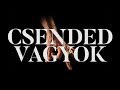 Punnany Massif - Csended Vagyok (PMXV Version) Punnany Massif - Csended Vagyok (PMXV Version)