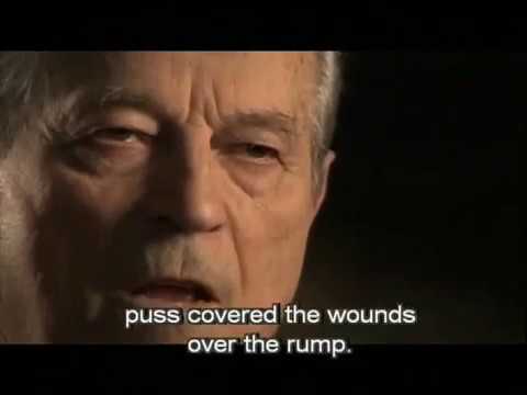 Spasić-Pavillon, Maksim Šarić, Lazar Vukašinović, Aleksandar Nećak