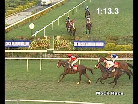 Lightning Bolt with Aneel up wins The Mock Race on 18-02-2019