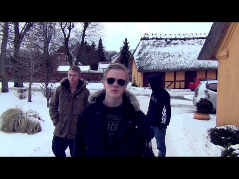 Plastikviking feat. Liderlig Lars og Pindsvin - Ryst Din Fit