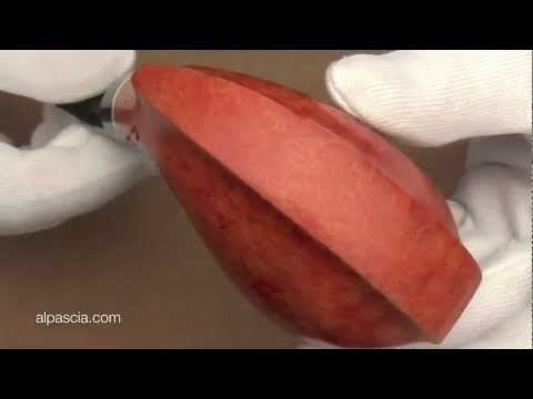 pipa Tom Spanu 274 - pipe smoking