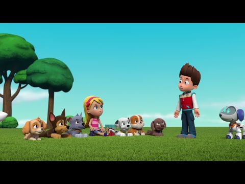 Katie Did A Pawesome Job Ryder - Paw Patrol