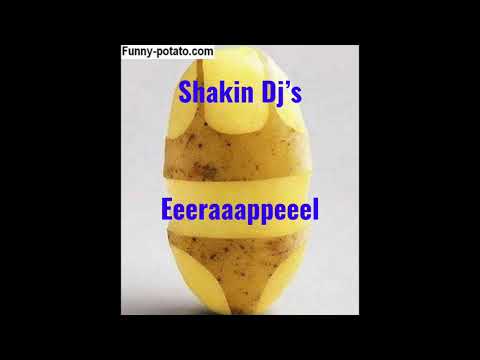 Shakin Dj's - Eeeraaappeeel !!!