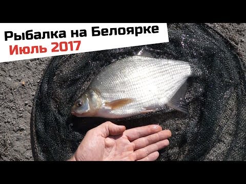 Интересное Интересное