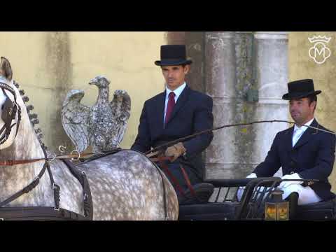 9 Coudelaria Quinta da Lagoalva