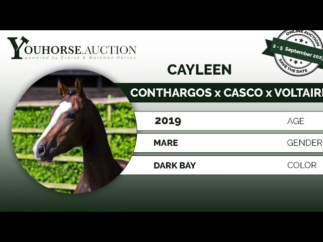 Cayleen under the saddle