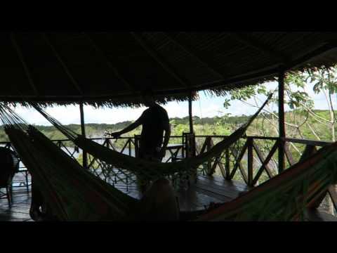 A cobra scare at Amazon Tupana