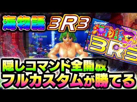 PA海物語3R3の動画