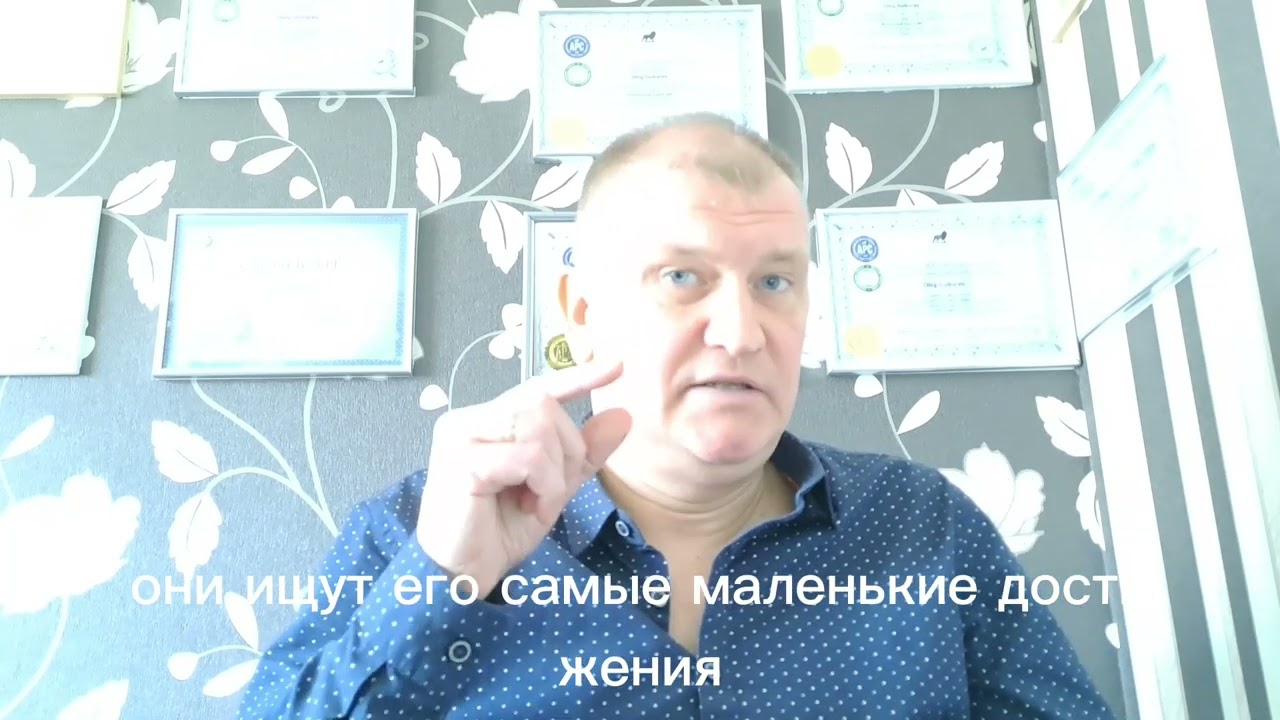 Видео 13