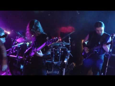 Wolven Ancestry - (Live in Sudbury)