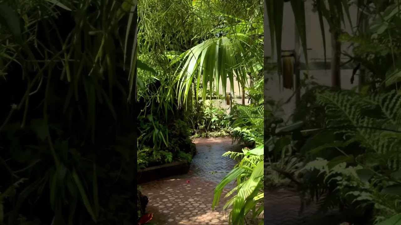 YouTube Short thumbnail