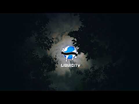 Whogaux & Karl-Kristjan - Have You Now ft. Maian (NCT Remix)