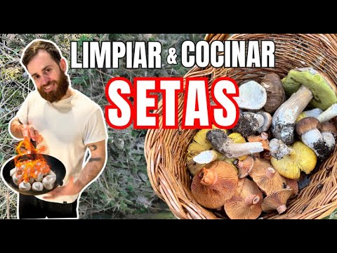 Cómo Cocinar Setas