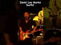 David Marks ‘Surfin’ Live 2007 #beachboys #surfin #oldies #california #doowop #garagerock #cali