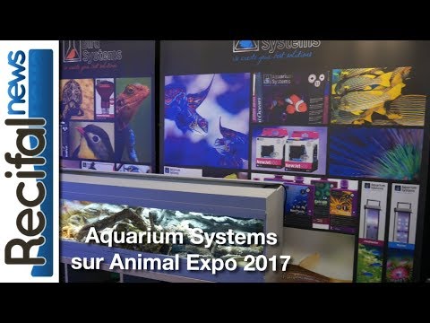 Watch Video on YouTube