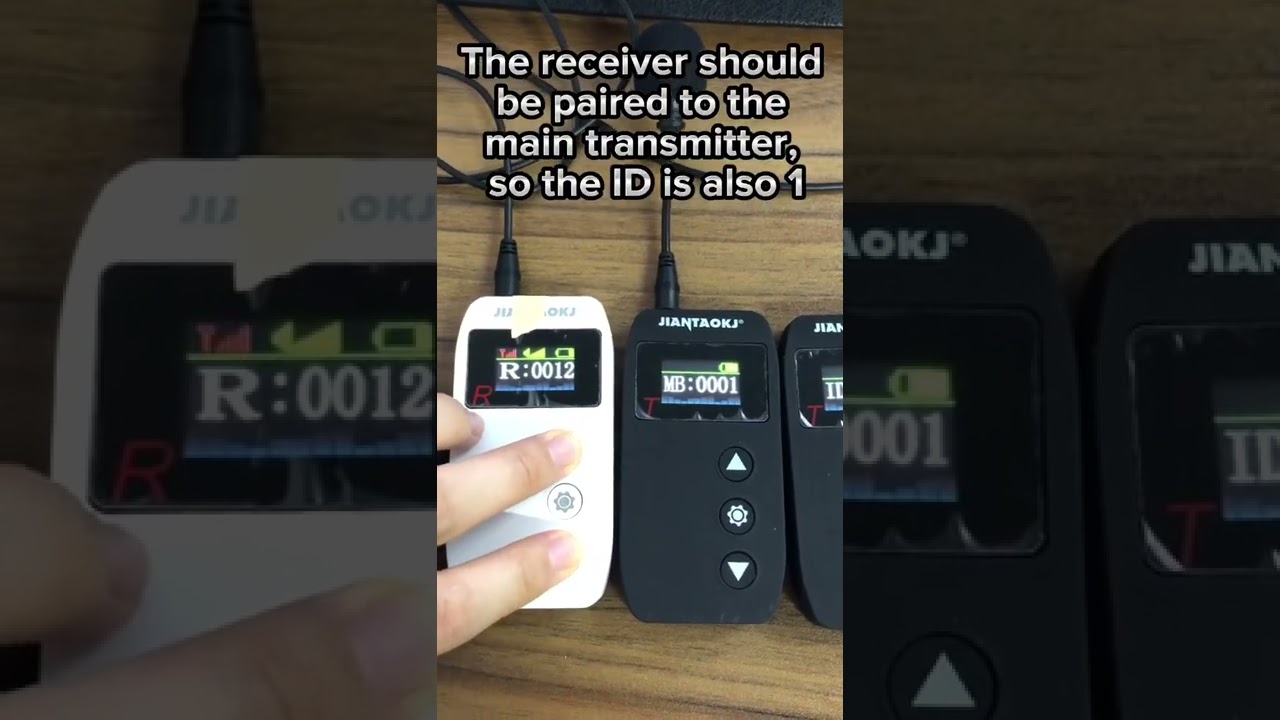 Wireless tour guide audio