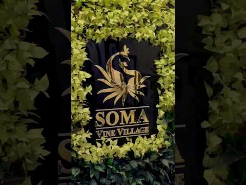 Saurav Telore portfolio video6