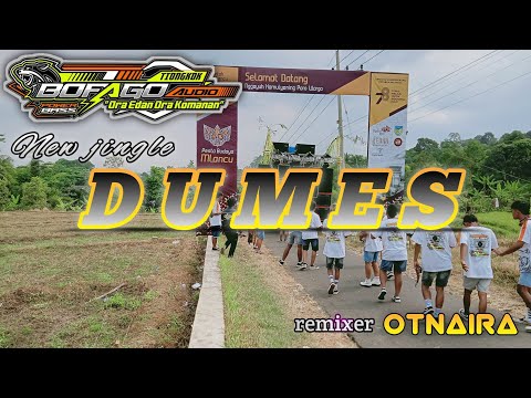 Jingle Viral DUMES X otnaira #bofagotiongkok