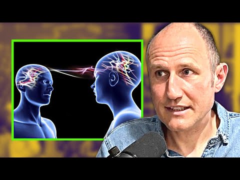 Paleoneurologist Reveals What the Mind Is