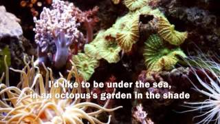 THE BEATLES -  Octopus&#39;s Garden (with lyrics)